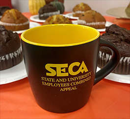 Feature Image for SECA