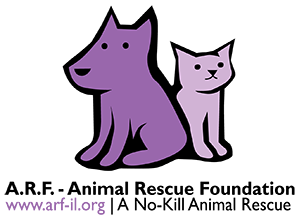 Feature Image for Animal Rescue Foundation (A.R.F.)