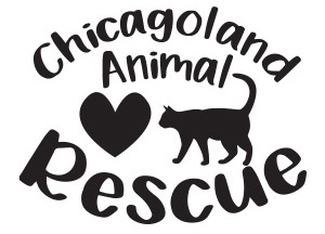 Feature Image for Chicagoland Animal Rescue, NFP
