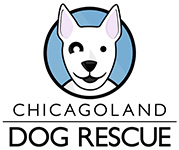 Feature Image for Chicagoland Dog Rescue