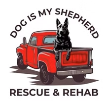 Feature Image for Dog Is My Shepherd Rescue & Rehab