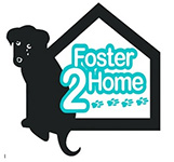 Feature Image for Foster 2 Home