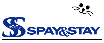 Feature Image for Spay & Stay 