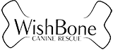 Feature Image for Wish Bone Canine Rescue