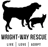 Feature Image for Wright-Way Rescue