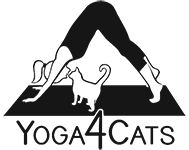 Feature Image for Yoga4Cats