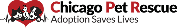 Feature Image for Chicago Pet Rescue