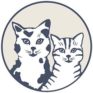 Feature Image for Paws and Claws Cat Rescue 